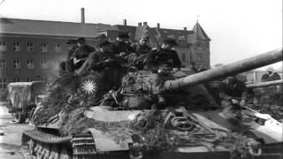 German soldiers of 512th Heavy Tank Destroyer Battalion surrender piling up armsHD Stock Footage [upl. by Lynnelle]