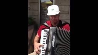 Hello dolly On accordion [upl. by Kenny687]