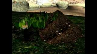 Science  Soil Formation and soil layers  Hindi [upl. by Eintruoc]