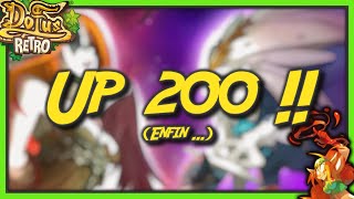 Up 200 sur Dofus Retro   Sacrieur  et ensuite [upl. by Notnerb259]