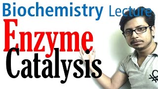 Enzyme catalysis mechanism biochemistry [upl. by Swen668]