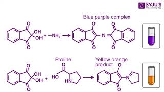 Peptide Hand Synthesis Part 4 Ninhydrin Test [upl. by Ethel]