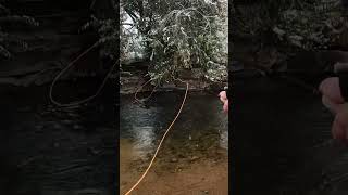 St vrain River Lyons Colorado fishingvideos [upl. by Adelice]