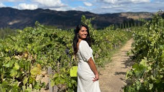 Top Napa Valley Wineries 🍷✨ Avy’s World 🌎 [upl. by Anilok]