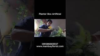 Planter box artificial dekorasi home artificialplant plants planterbox restaurantdecor [upl. by Aicetel980]