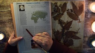 ASMR Botanical Explorers book Adventures of past scientists soft reading and page turning [upl. by Woo]