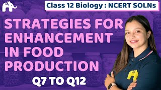 Strategies for Enhancement in Food Production Class 12 Biology  Chapter 9 Ncert Solutions Q712 [upl. by Ploss5]