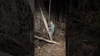 Late night tree pulling landclearing lifeonthewaterfromthewater [upl. by Judus850]