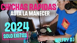 chichas rapidas mix 2024 wilfry dj [upl. by Eadrahs]