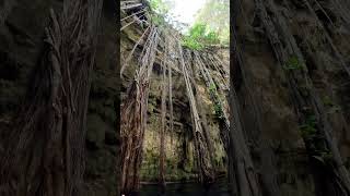 Cenotes MESSICO [upl. by Kier]