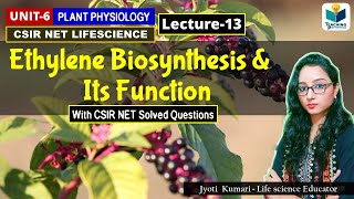 ETHYLENE BIOSYNTHESIS AND FUNCTIONS  PHYTOHORMONESPART13CSIR NET PLANT BIOLOGY [upl. by Ahsiyt]