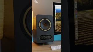 Tannoy GOLD 5 des BOMBES à petit prix [upl. by Lledniw720]