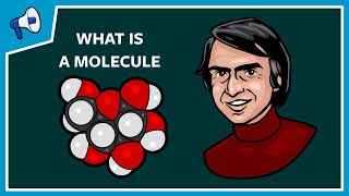 What Is a Molecule [upl. by Nohsyar]