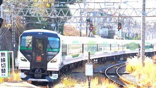 開運成田山初詣青梅号・八王子号 E257系 成田駅 2024167 [upl. by Tertia]