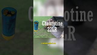 De la chevrotine avec de la 22lr [upl. by Hawkie]