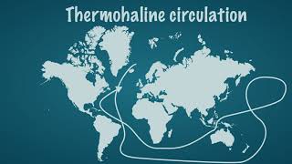 Ocean currents and circulation [upl. by Demahom]