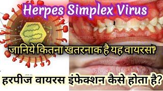 Herpes simplex virus pathogenesis amp clinical symptoms  HSV1 amp HSV2 in hindi [upl. by Nnyre842]