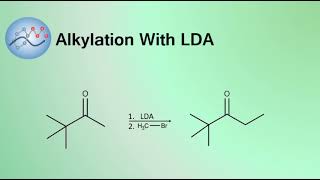 Alkylation With LDA Mechanism  Organic Chemistry [upl. by Riffle627]