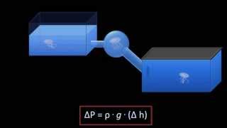 Hydrostatic Pressure Fluid Mechanics  Lesson 3 [upl. by Marijo229]