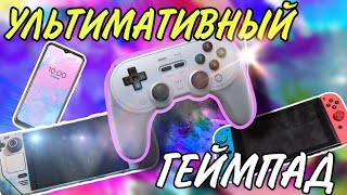 ЛУЧШИЙ ГЕЙМПАД ДЛЯ РАЗНЫХ ПЛАТФОРМ  обзор 8 BitDo Pro 2 [upl. by Kosse]