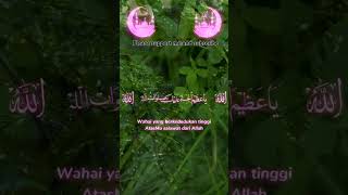 Allah Allah Aghisna الله الله اغنينا يا رسول الله Nazwa Maulidia song arabic foryou foru duet [upl. by Burny459]