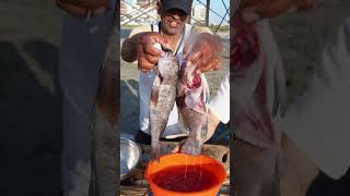 Ceviche de pescador buenazo peru chiclayo receta comidaperuana [upl. by Notniv728]