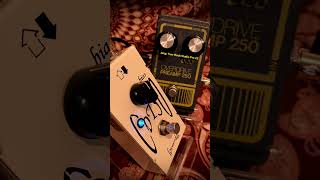 DOD OVERDRIVE PREAMP 250 → Lovepedal COT50 [upl. by Aihsena]