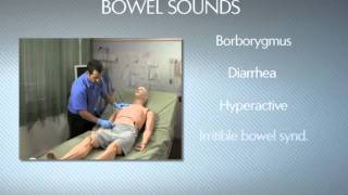 HAL® S3201  Part 9  Bowel sounds [upl. by Reiner]