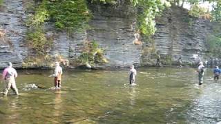 Snaggers  Lifters  Litterbugs on Salmon River Ny [upl. by Ardyaf]