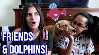 🐬😍 DOLPHINS in Our Backyard amp Best Friend Storytime 📖 21118 [upl. by Enelak]