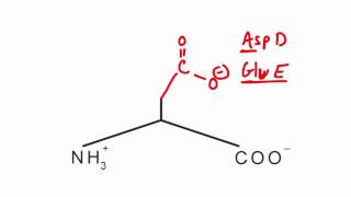 Memorize the 20 amino acids in 20 minutes Part 2 [upl. by Nitreb602]