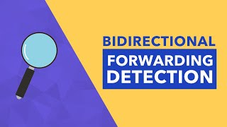 Bidirectional Forwarding Detection [upl. by Mellisent]