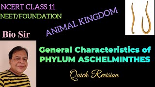 Aschelminthes Class 11 NCERT Animal Kingdom [upl. by Ezmeralda]