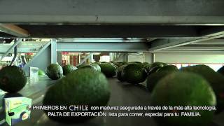 Video Promocional Subsole quotPaltas de exportación Chile [upl. by Aelyk]