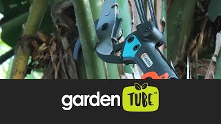 Tree pruning with Gardena Combisystem [upl. by Darcey]