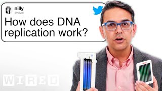 Human Geneticist Answers DNA Questions From Twitter  Tech Support  WIRED [upl. by Mcgray901]