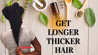 Natural Hair Remedy For Massive Hair Growth Nettles DHT Blocker ItsAbeeyola [upl. by Nogas]