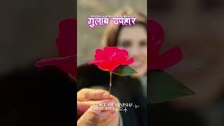 गुलाब उपहार  Valentine Special  Nepali Poetry  Voice of Binisha  Spoken Words [upl. by Griz23]