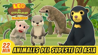 Animales Del Sudeste Asiático Parte 1  Leo El Explorador Episodio  Animación  Familia  Niños [upl. by Sueddaht]