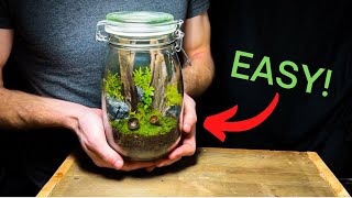 DIY Jar Terrarium A Beginners Guide [upl. by Ricoriki]