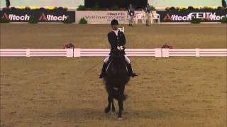 Lee Pearson ParaDressage  Jeux Equestres Mondiaux 2010 Lexington [upl. by Ecnerual]