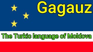 The Turkic Language of Moldova  Gagauz Honourable Mentions G [upl. by Victory]