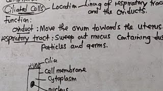 Ciliated Cells  Location Function and Adaptations  Well Explained  Harrison J Zulu Tutor [upl. by Noevart107]