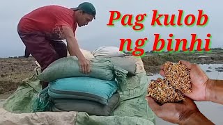 Pagpapatubo ng binhi ng palay part 2 [upl. by Notwal]