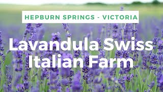 Lavandula Farm  Hepburn Springs Victoria [upl. by Ytitsahc]