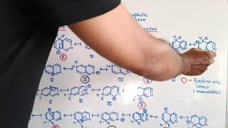 Reactivity of Isoquinoline [upl. by Irodim274]