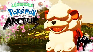 LÉGENDES POKÉMON ARCEUS 14  LHéritier CANINOS dHisui  🌸  LETS PLAY FR [upl. by Levania803]