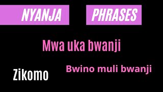 lets learn Nyanja part 1 🇿🇲🇿🇲🇿🇲 [upl. by Akinak]