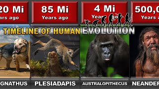 Timeline Of The Evolutionary History Of Life  Darwin evolution amp natural selection [upl. by Ahsiekim]