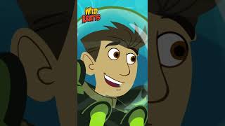 Learning Walrus Flipper Propeller Power  Happy Holidays  Wild Kratts [upl. by Kyriako]